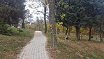 20181022_152232_resize_2