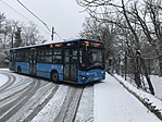 IMG_4654