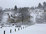 IMG_4655