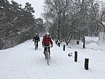 IMG_4656