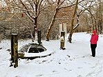 IMG_9556