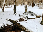 IMG_9557