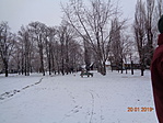 DSC03744