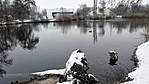 293. Szolnok - Tiszaliget  (8)