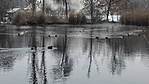 293. Szolnok - Tiszaliget  (9)