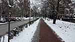 293. Szolnok - Tiszaliget  (22)