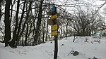 WP_20190126_033