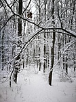 IMG_20190105_144600