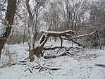Az 1.pont közelében