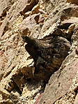 DSC01439