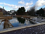 IMG_20190106_132122