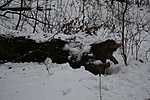 kép 011