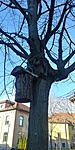 20181231_110635_HDR