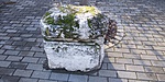 20181231_110940