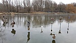 20190104_095020