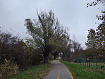 P1370434