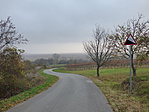 P1370454