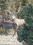 P1240786