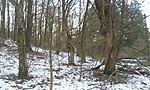 20190119_094756