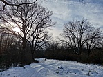 IMG_20190127_141822
