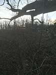 IMG_20190104_153551
