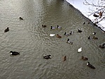 IMG_20190127_093627
