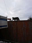 20190112_154856