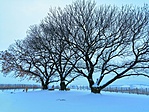 IMG_20190109_154652
