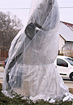 IMG_6579_1