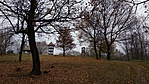 IMG_20181125_111759