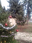 IMG_20181223_144805
