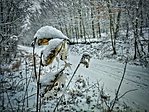 IMG_20190105_103950-01