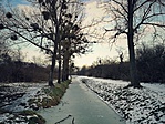 IMG_20190113_160400-01