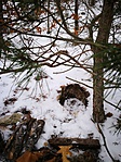 IMG_20190126_130100