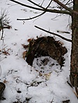 IMG_20190126_130103