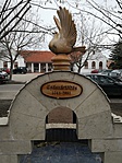 IMG_20190202_104706