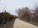 20190209_115101-1066x800