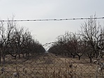 20190209_115057-1066x800