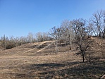 2019-02-16 11.50.39R