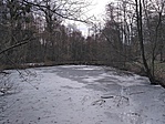 IMG_20190202_123434