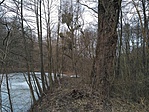 IMG_20190202_122202