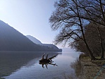 IMG_20190217_113049