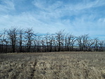 20190223_123114