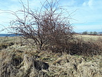 20190223_123514