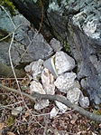 Lenovo_A1000_IMG_20190211_100158