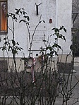 20190210_163154
