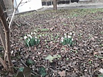 20190210_164450
