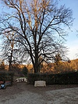20190223_164813