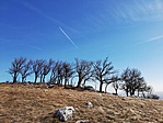 IMG_20190223_120436