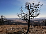 IMG_20190223_120521